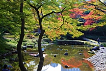 2015-11-211495.JPG