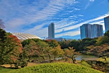 2015-11-211499.JPG