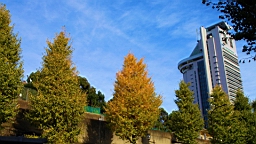 2015-11-211500.JPG