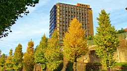 2015-11-211501.JPG