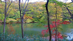 2015-11-211505.JPG