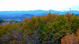 2015-11-211514.JPG