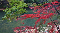 2015-11-211519.JPG