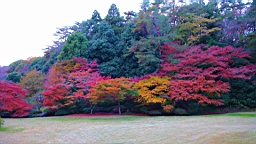 2015-11-211521.JPG
