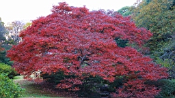 2015-11-211522.JPG