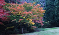 2015-11-211524.JPG
