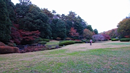 2015-11-211526.JPG