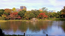 20151121_094543.jpg