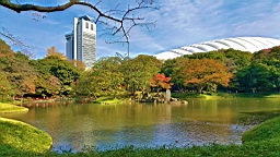 20151121_100211.jpg