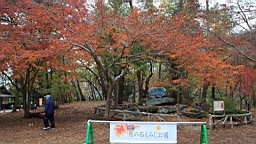 2015-11-221548.JPG