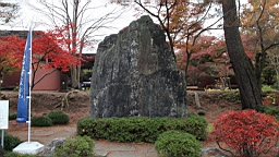 2015-11-221550.JPG