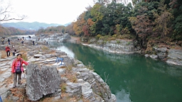 2015-11-221557.JPG