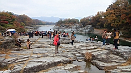 2015-11-221619.JPG