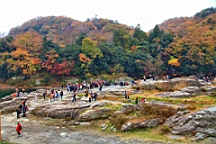 2015-11-221629.JPG