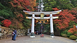 2015-11-221633.JPG