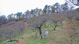 2015-11-221645.JPG