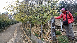 2015-11-221646.JPG