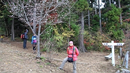 2015-11-221647.JPG