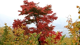 2015-11-221648.JPG