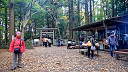 2015-11-221654.JPG