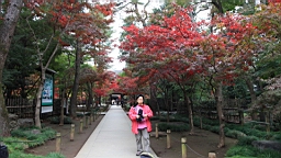 2015-11-231660.JPG