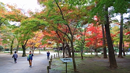 2015-11-231662.JPG