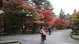 2015-11-231669.JPG