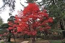 2015-11-231672.JPG