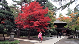 2015-11-231674.JPG
