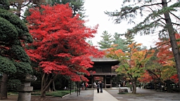 2015-11-231675.JPG
