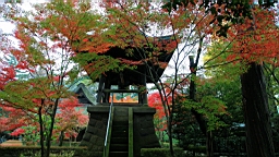 2015-11-231678.JPG