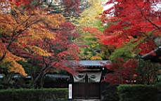 2015-11-231681.JPG