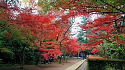 2015-11-231682.JPG