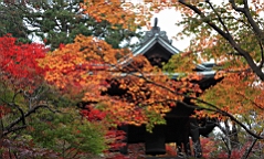 2015-11-231685.JPG