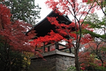 2015-11-231686.JPG