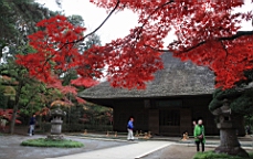 2015-11-231688.JPG