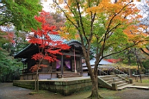 2015-11-231692.JPG