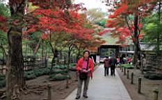 2015-11-231695.JPG