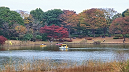 2015-11-231704.JPG