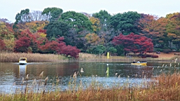 2015-11-231705.JPG