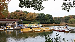 2015-11-231707.JPG