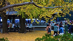 2015-11-231708.JPG