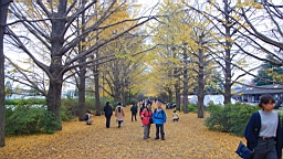 2015-11-231709.JPG