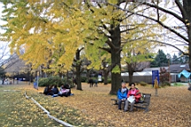 2015-11-231710.JPG