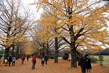 2015-11-231712.JPG