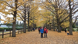 2015-11-231713.JPG