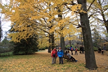 2015-11-231715.JPG