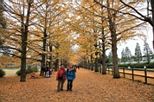 2015-11-231716.JPG