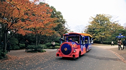2015-11-231733.JPG