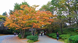 2015-11-231736.JPG